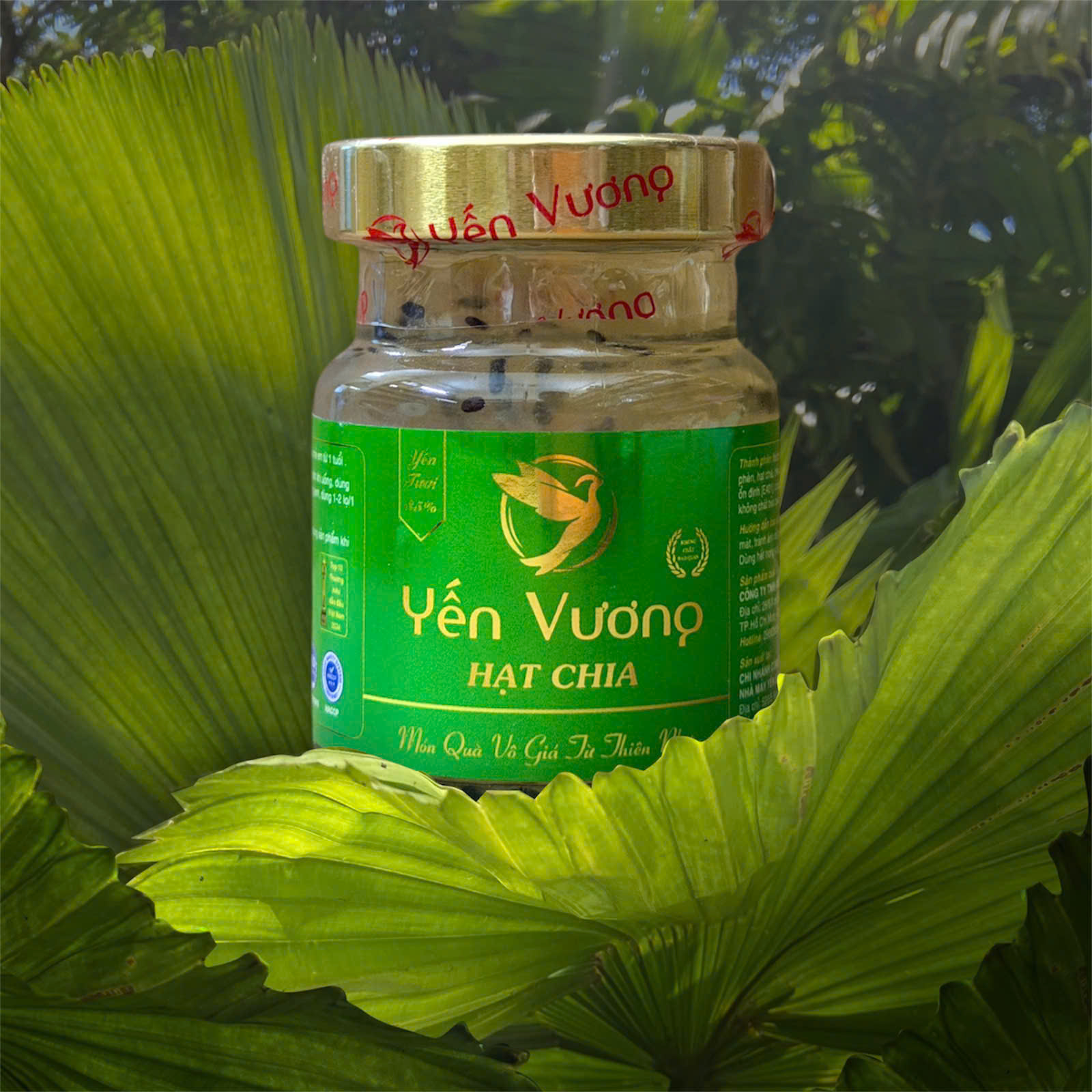 Hũ yến Vương 70ml Hạt Chia